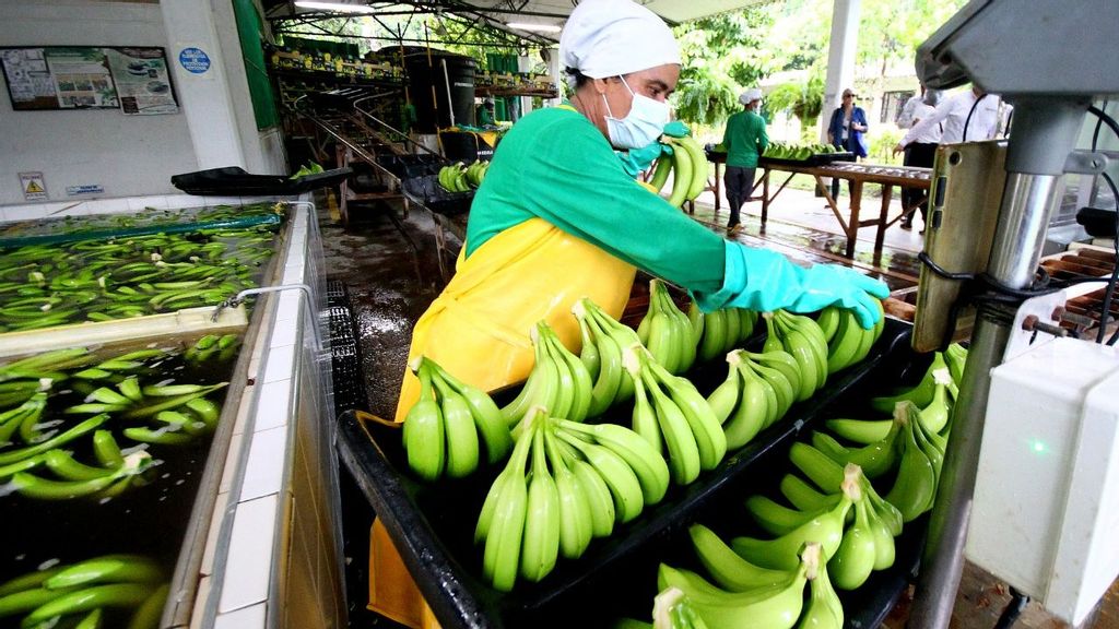  Not So Fruity: Plan To Pay More For Bananas