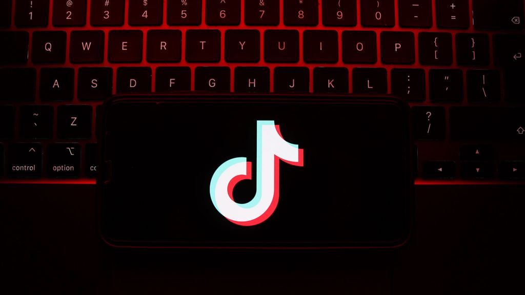 A New Study Shows That The Government Should Step In To Regulate TikTok Posing A Threat