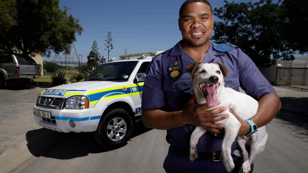 From Stray To Sniffer: Meet Snoekie, The Rescued Dog Helping Bust Drug Traffickers